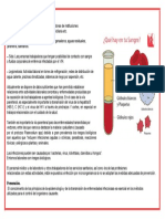 Nuevo Documento de Microsoft Word.docx