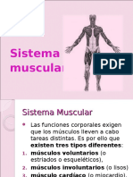 Sistema Muscular y Tegumentario