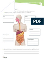 Articles-22964 Recurso PDF Celula