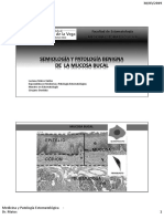 Lesiones Premalignas y Cáncer Bucal - UIGV2019