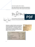 Hidrato de Carbono