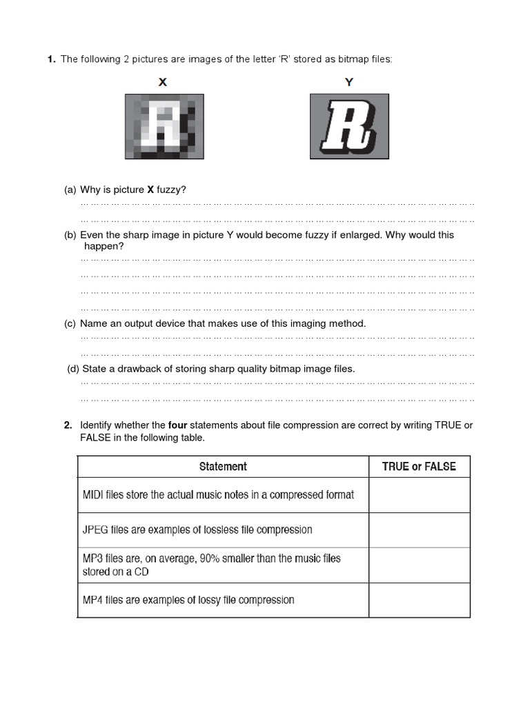 Data Storage - Worksheet (GR 10) | PDF | Data Compression | Bit