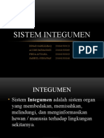 Sistem Integumen