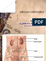 Sistem Uropoetik - Dr. Didik Dwi Sanyoto