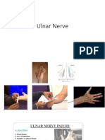 Ulnar Nerve