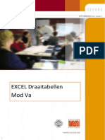 Excel 2010 Draaitabellen BUN142 PDF