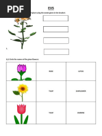 Q.1 Colour and Label The Parts of Plant Using The Words Given in The Bracket