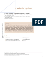 Jurnal Embriologi PDF