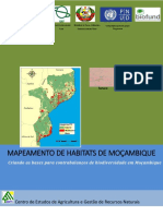 Mapeamento-de-habitats-Mo--ambique-BIOFUND-200415.pdf