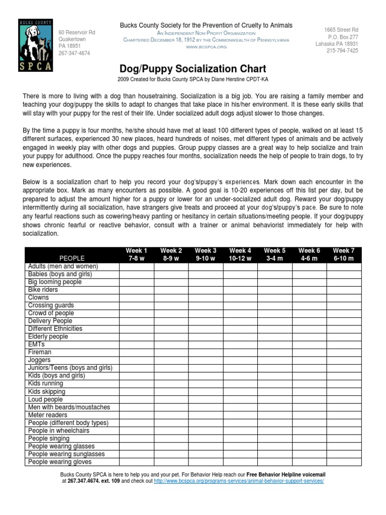 SPCA Puppy Socialization Chart | PDF | Socialization | Dogs