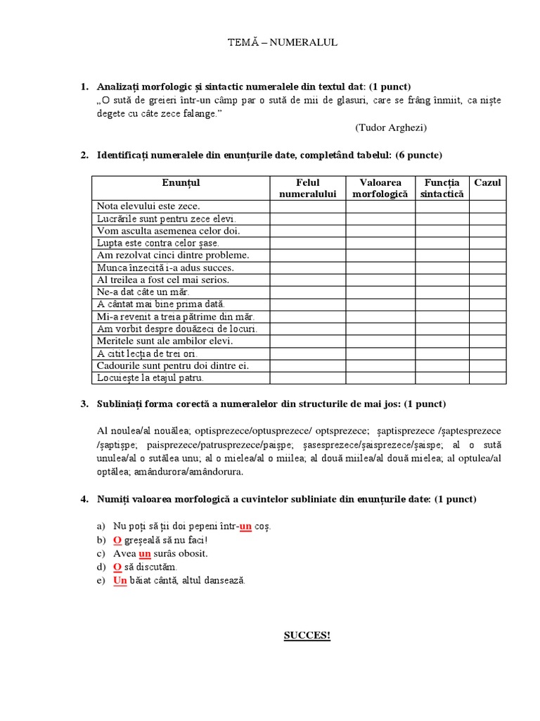 Tema Numeral 7 | PDF