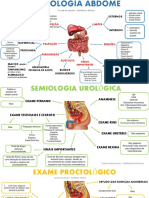 093 Obstetricia Basica