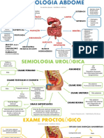 Semiótica abdominal e urológica