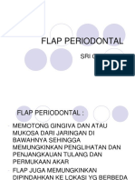 Flap Periodontal