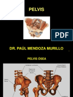 233707089-6-PELVIS.ppt