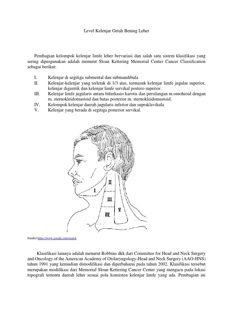 Level Kelenjar Getah Bening Leher