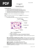 Download Syllabus Hematopoiesis by Ashley Kain SN40623244 doc pdf
