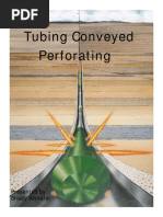 TLC Logging in Tough Conditions | PDF | Pipe (Fluid Conveyance ...