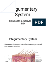 Integumentary System 1-1 PDF