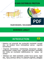 Pemilahan Dan Distribusi Protein