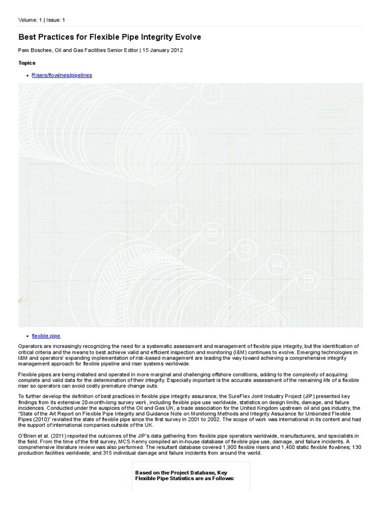 Flexible Pipe Integrity Best Practices | PDF | Fatigue (Material ...
