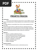 5 Projetos Anual 2013