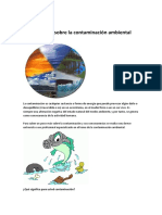 150288710 Reportaje Sobre La Contaminacion Ambiental