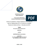 yari proyecto.pdf