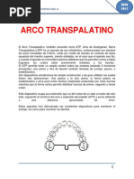 Mantenedor de Espacio Banda y Ansa | PDF | Ortodoncia | Ramas de ...
