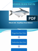 Budidaya Ikan Patin - Angellique