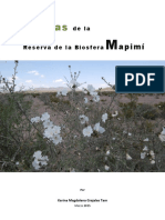 09 Guiaplantas2015 PDF