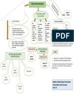 Perfiles Psicopatologicos