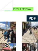 Desorden Peatonal