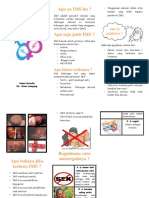 Leaflet Ims