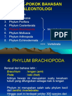 6250 Brachiopodal