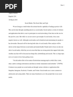 final essay   1 