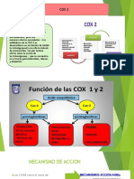 Cox2 Exposicion PPN 1