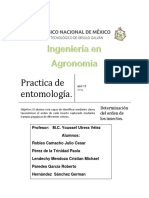 Practica de Entomologia