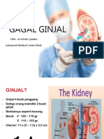 Prolanis Gagal Ginjal