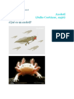 Presentación de Axolotl