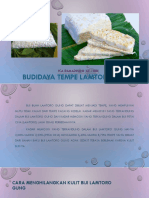 Budidaya Tempe Lamtoro Gung