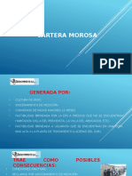 Informe de Gestion_cartera Morosa