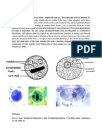 Entamoeba Histolytica Exists in Two Forms - Trophozoite and Cyst. The Trophozoite and Cyst Measure 20