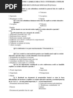 chestionar
