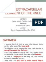 Injury Extracapsular Ligament of The Knee: Rania, Aisyah, Fadillah, Hafizudin
