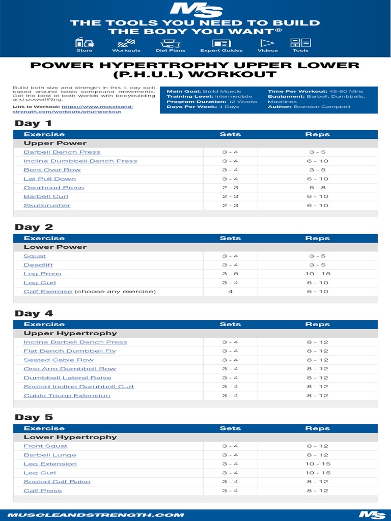 PHUL Workout PDF PDF Muscle Hypertrophy Management Of Obesity