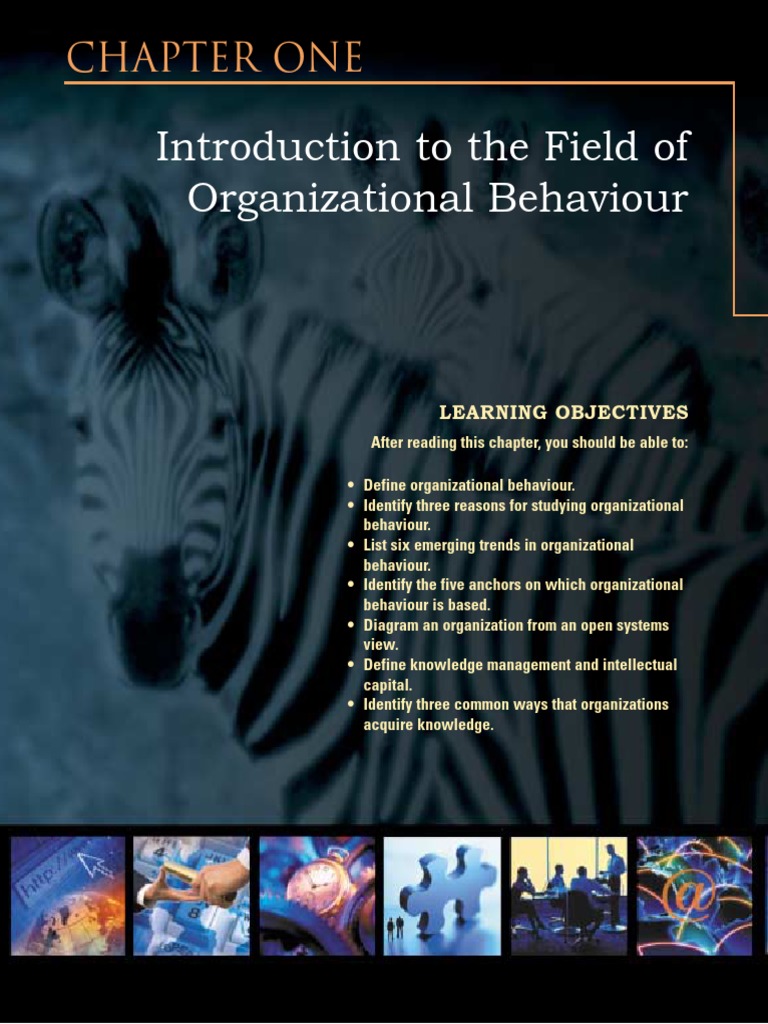 Introduction To The Field of Organizational Behaviour: Chapter ONE ...