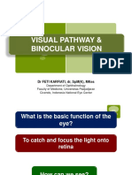 Visual Pathway DR FK