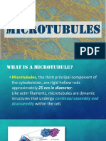 Microtubules Presentation