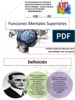 Funciones Mentales Superiores